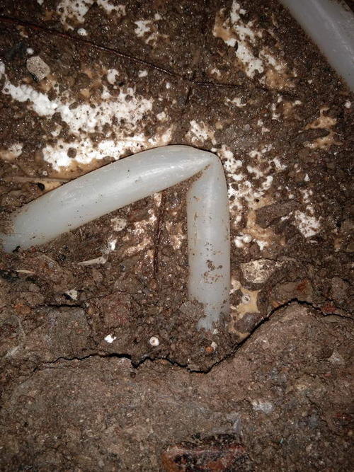 当雄堵点精准查找